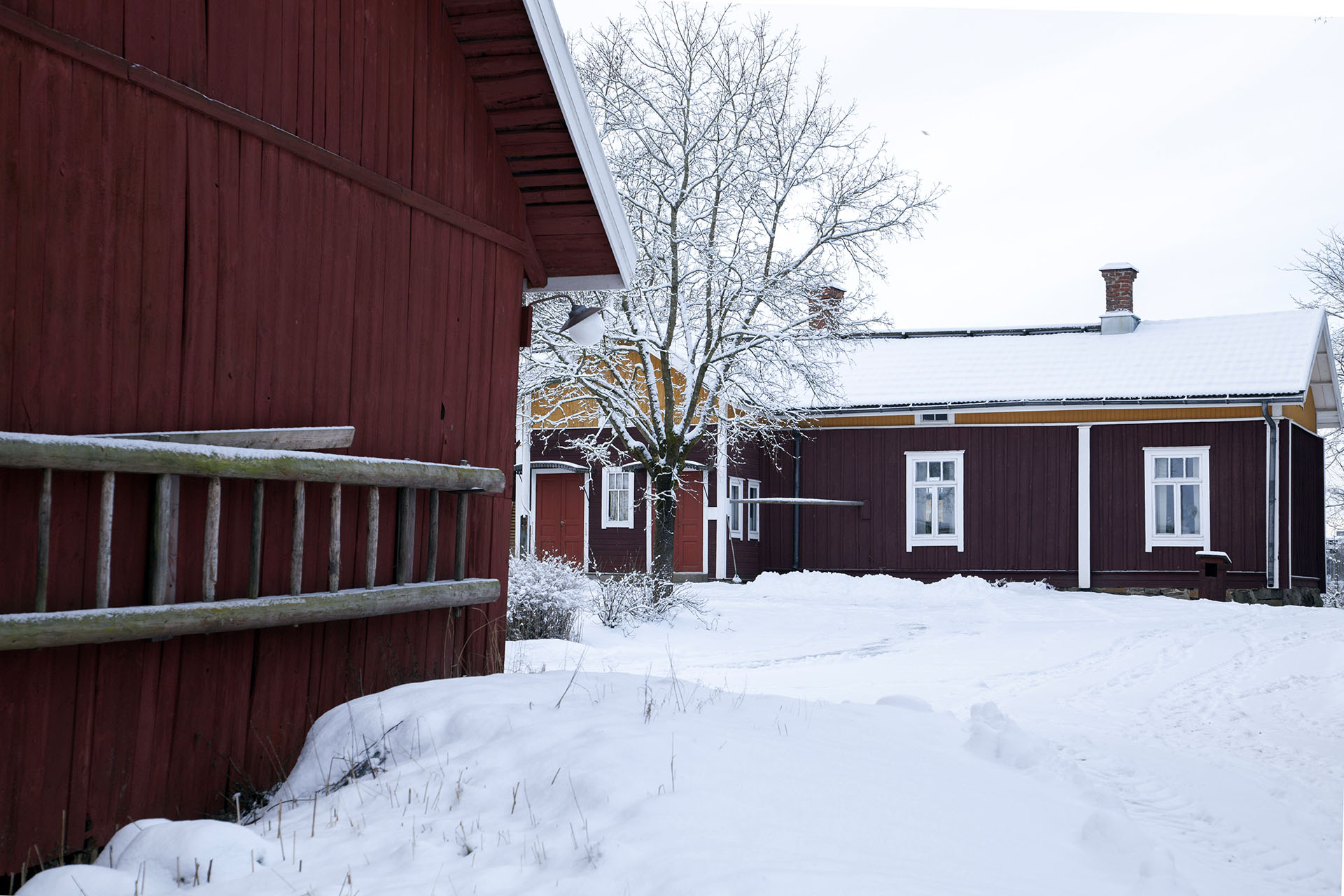 Talvinen maalaismaisema, vasemmalla talousrakennus jonka seinällä roikkuu tikkaat säilytyksessä. Taustalla punamullattu puurakennus. Maassa on runsaasti lunta.